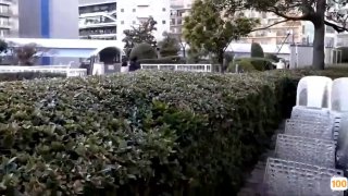 刚刚更新成人视频.达达兔在在线观看在线a 日本一区二区在线看_国产在线精品观看一区欧美国产精品不卡在线观看_国产亚洲一区二区手机在线观看